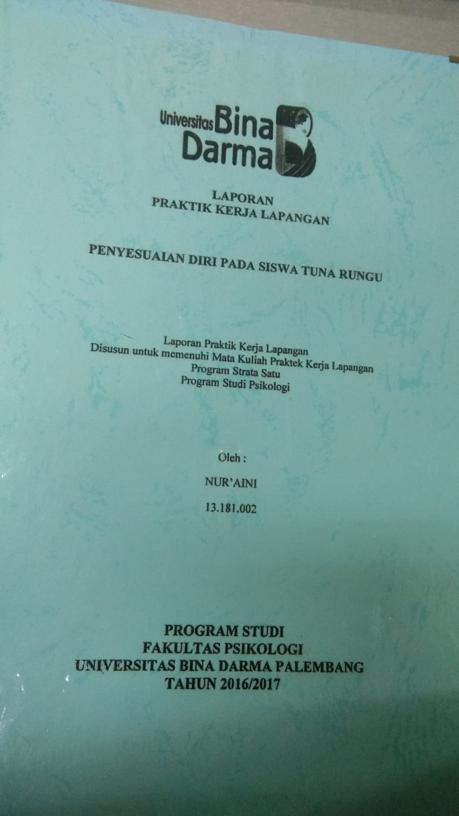 Cover PENYESUAIAN DIRI PADA SISWA TUNA RUNGU / NUR'AINI