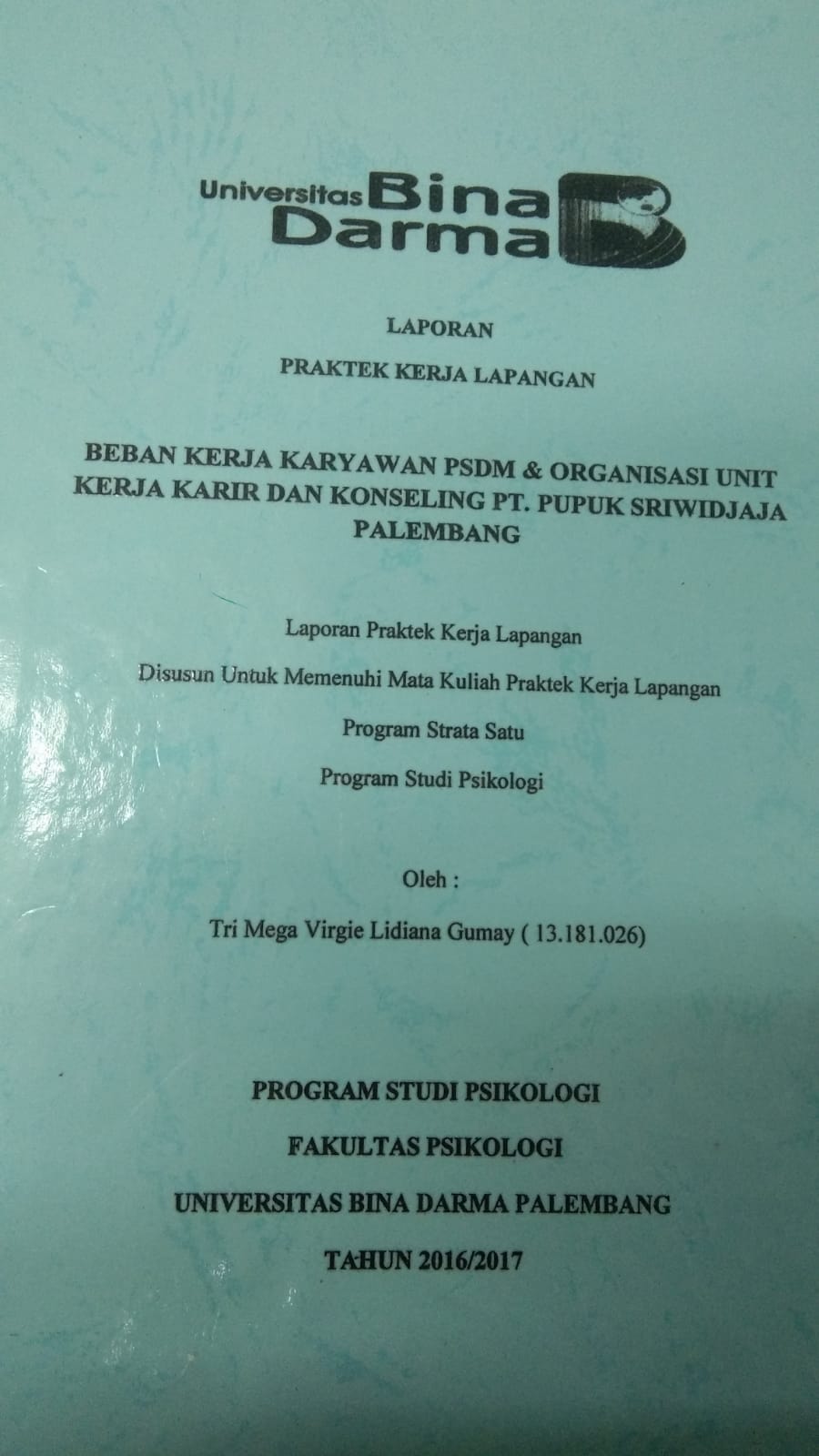 Cover BEBAN KERJA KARYAWAN PSDM & ORGANISASI UNIT KERJA KARIR DAN KONSELING PT. PUPUK SRIWIDJAJA PALEMBANG / TRI MEGA VIRGIE LIDIANA GUMAY