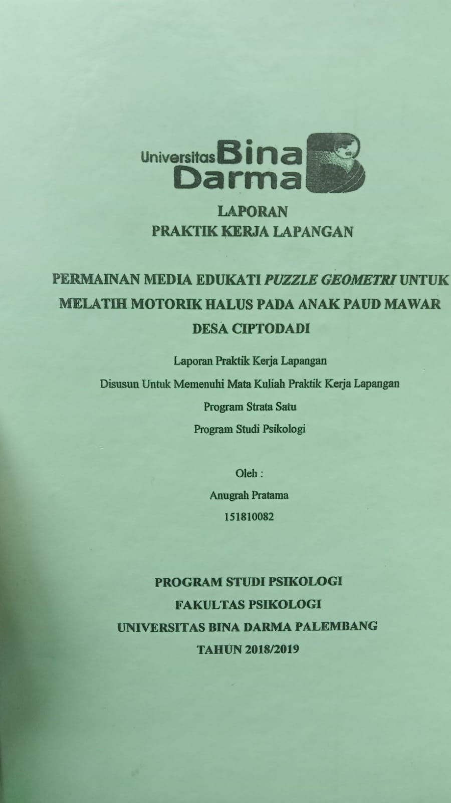 Cover PERMAINAN MEDIA EDUKASI PUZZLE GEOMETRI UNTUK MELATIH MOTORIK HALUS PADA ANAK PAUD MAWAR DESA CIPTODADI / ANUGRAH PRATAMA