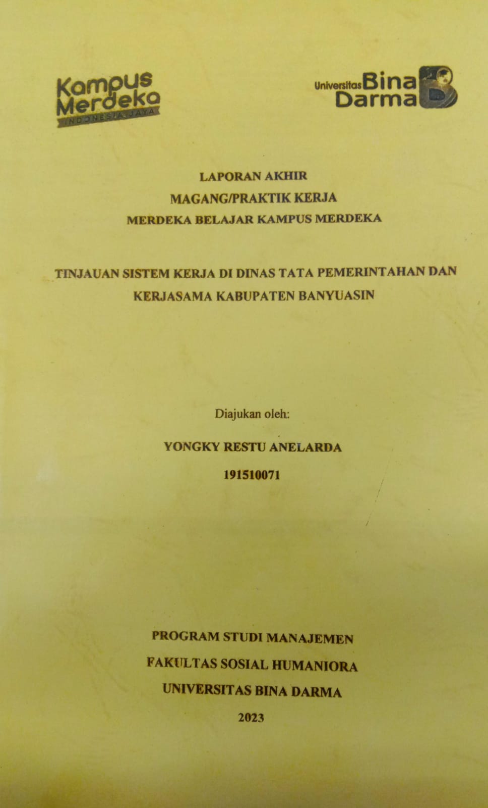 Cover TINJAUAN SISTEM KERJA DINASTI TATA PEMERINTAHAN DAN KERJASAMA KABUPATEN BANYUASIN / YONGKY RESTU ANELARDA