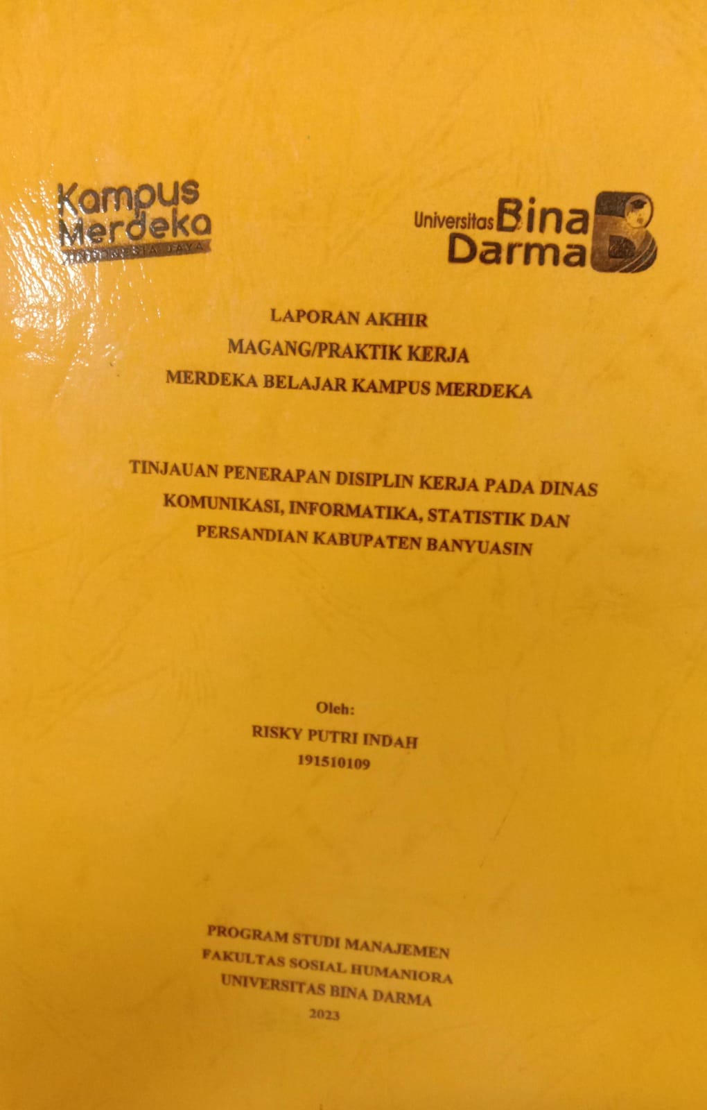 Cover TINJAUAN PENERAPAN DISIPLIN KERJA PADA DINAS KOMUNIKASI, INFORMATIKA, STATISTIK DAN PESANDIAN KABUPATEN BANYUASIN / RISKY PUTRI INDAH