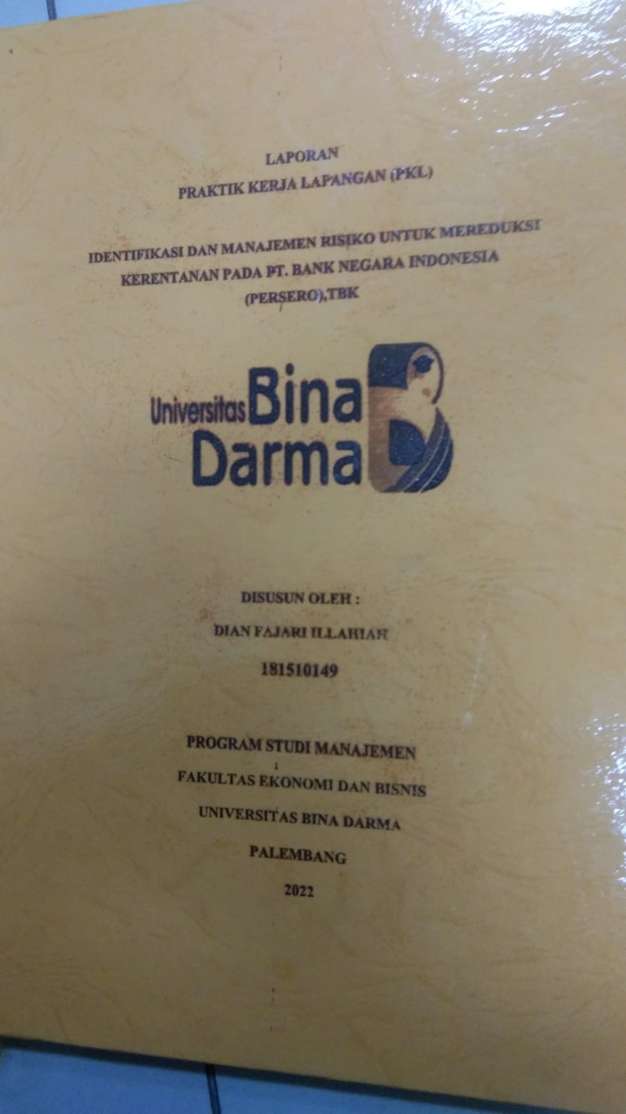 Cover IDENTIFIKASI DAN MANAJEMEN RISIKO UNTUK MEREDUKSI KERENTANAN PADA PT. BANK NEGARA INDONESIA (PERSERO) TBK / DIAN FAJARI ILLAHIAH