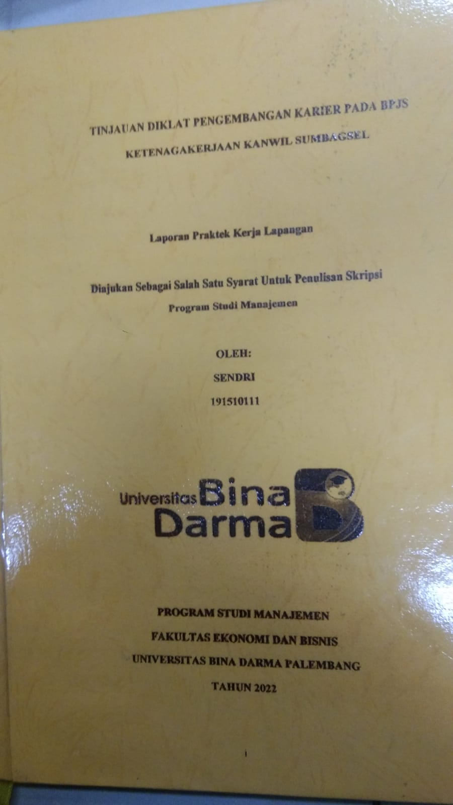 Cover TINJAUAN DIKLAT PENGEMBANGAN KARIER PADA BPJS KETENAGAKERJAAN KANWIL SUMBAGSEL / SENDRI