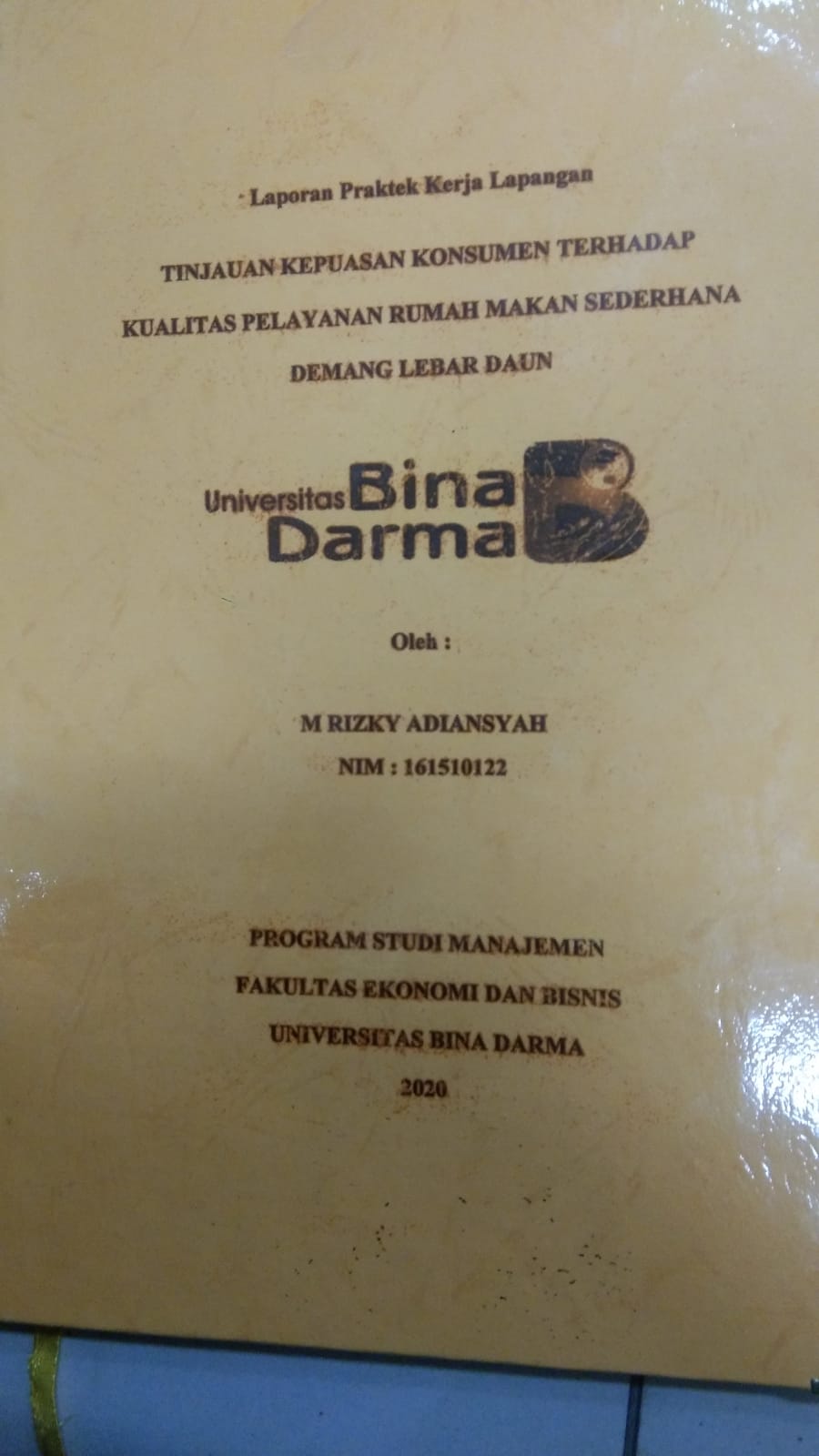 Cover TINJAUAN KEPUASAN KONSUMEN TERHADAP KUALITAS PELAYANAN RUMAH MAKAN SEDERHANA DEMANG LEBAR DAUN / M RIZKY ADIANSYAH