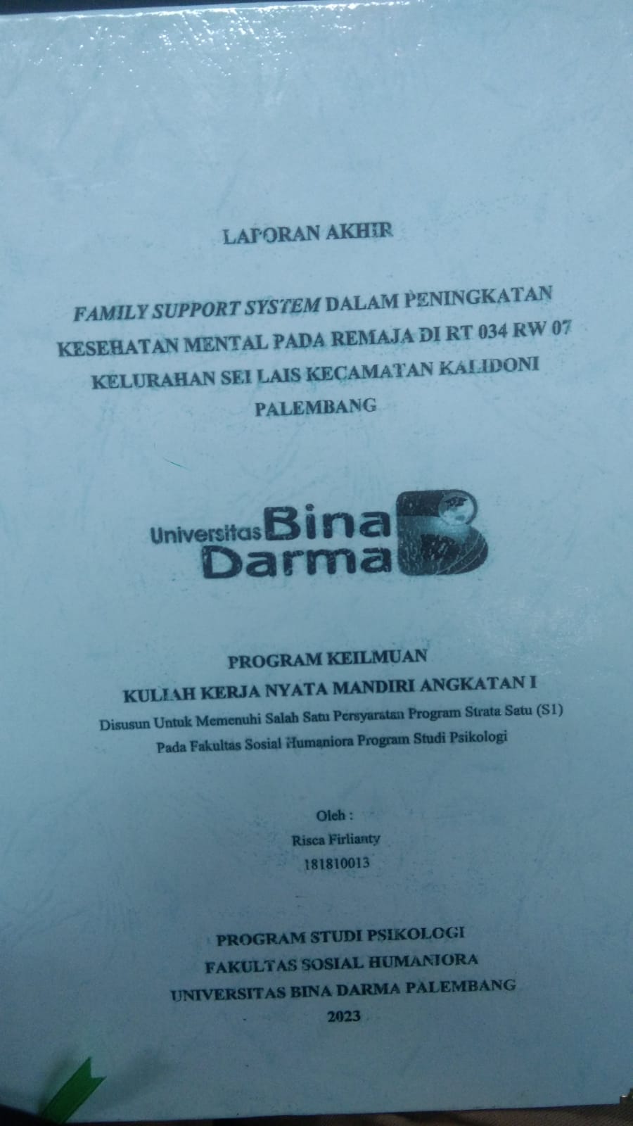 Cover FAMILY SUPPORT SYSTEM DALAM PENINGKATAN KESEHATAN MENTAL PADA REMAJA DI RT 034 RW 07 KELURAHAN SEI LAIS KECAMATAN KALIDONI PALEMBANG / RISCA FIRLIANTY