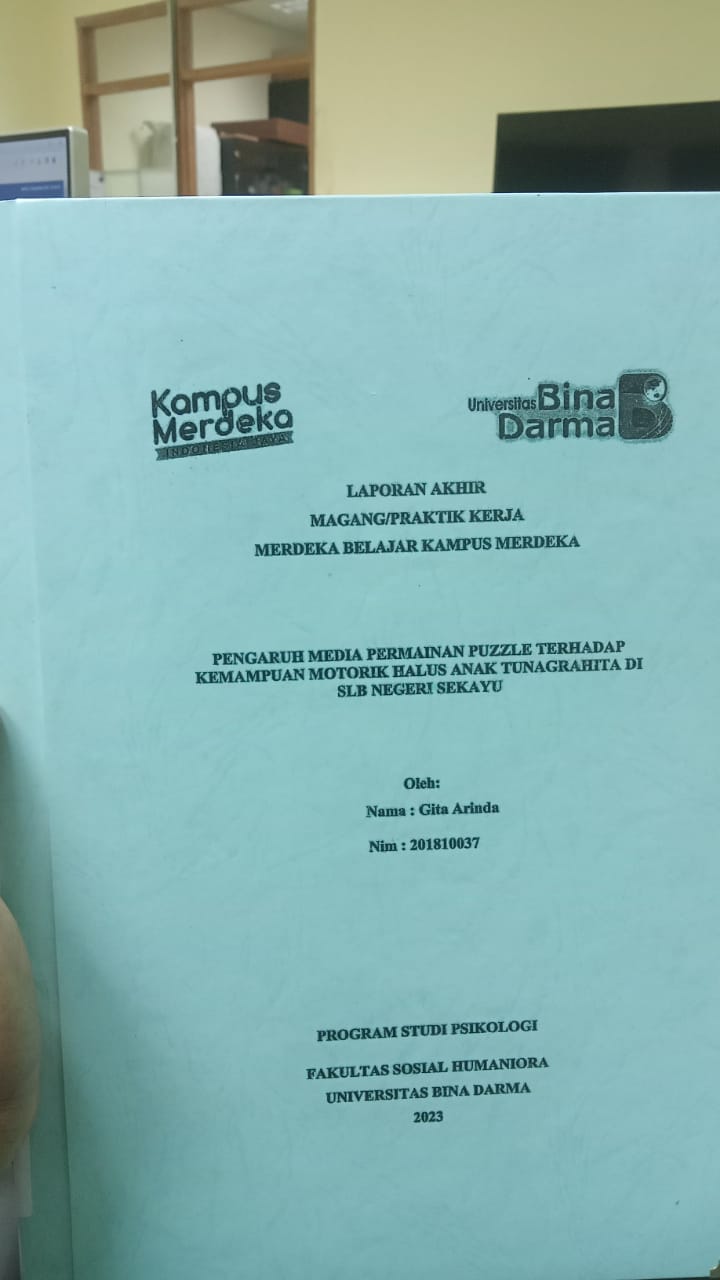 Cover PENGARUH MEDIA PERMAIANAN PUZZLE TERHADAP KEMAMPUAN MOTORIK HALUS ANAK TUNAGRAHITA DI SLB NEGERI SEKAYU / GITA ARINDA