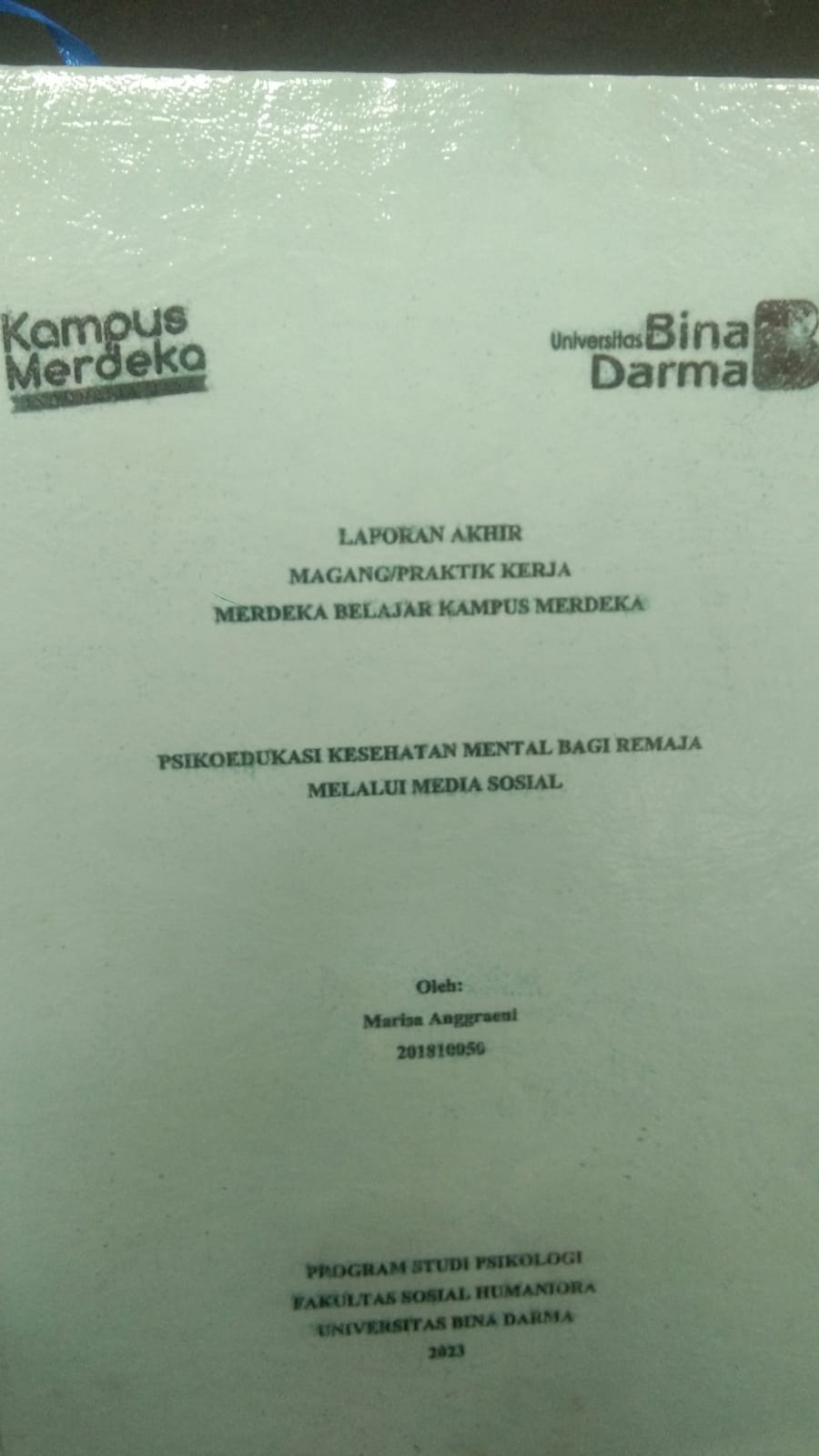 Cover PSIKOEDUKASI KESEHATAN MENTAL BAGI REMAJA MELALUI MEDIA SOSIAL / MARISA ANGGRAENI