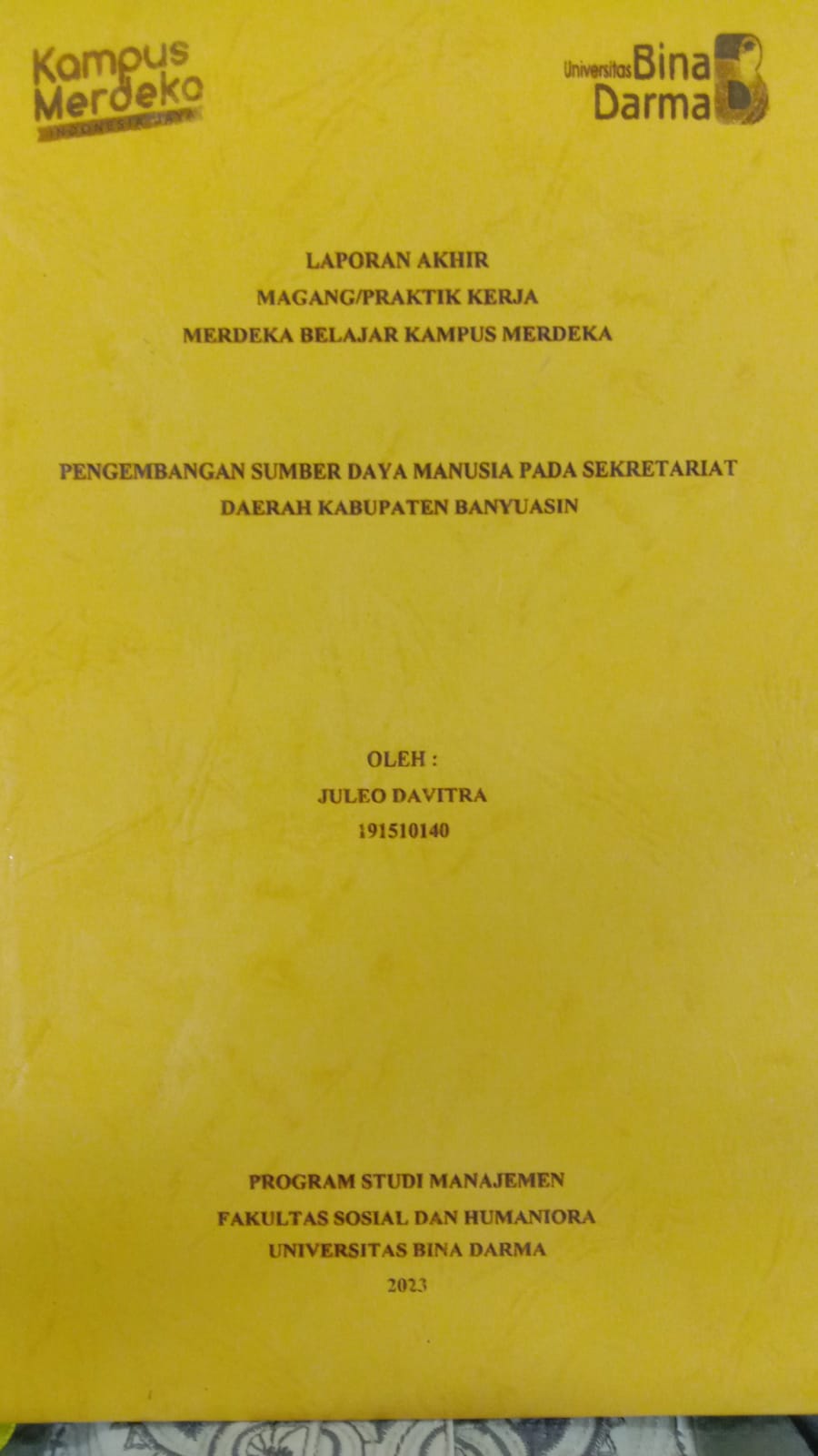 Cover PENGEMBANGAN SUMBER DAYA MANUSIA PADA SEKRETARIAT DAERAH KABUPATEN BANYUASIN / JULEO DAVITRA