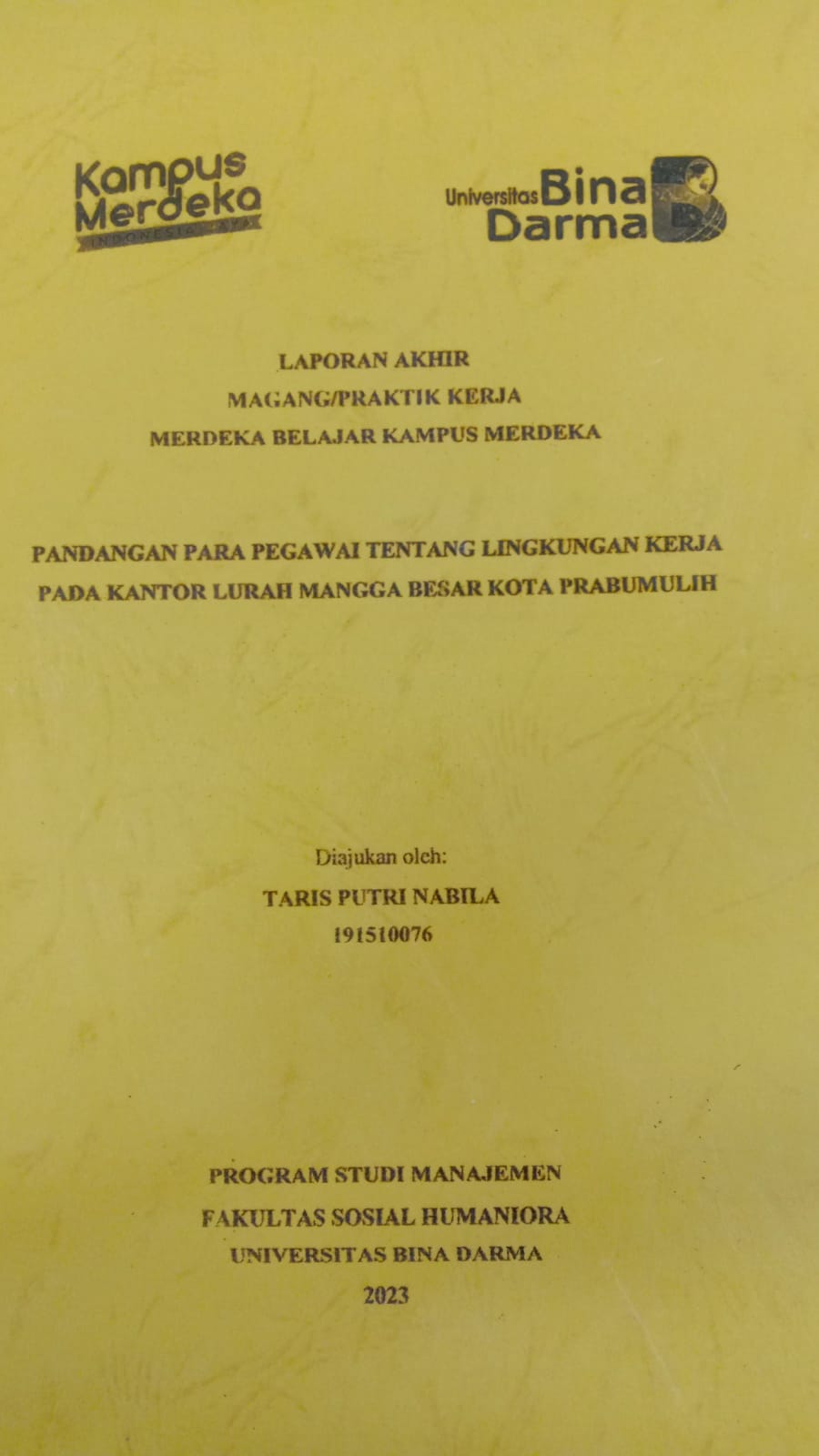 Cover PANDANGAN PARA PEGAWAI TENTANG LINGKUNGAN KERJA PADA KANTOR LURAH MANGGA BESAR KOTA PRABUMULIH / TARIS PUTRI NABILA