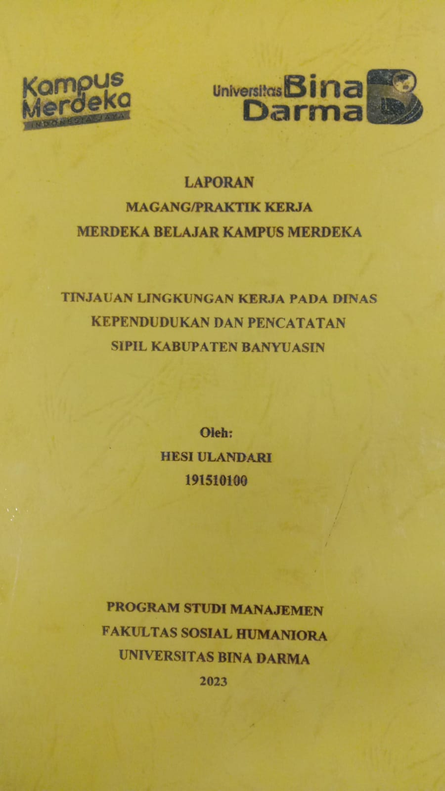 Cover TINJAUAN LINGKUNGAN KERJA PADA DINAS KEPENDUDUKAN DAN PENCATATAN SIPIL KABUPATEN BANYUASIN / HESI ULLANDARI