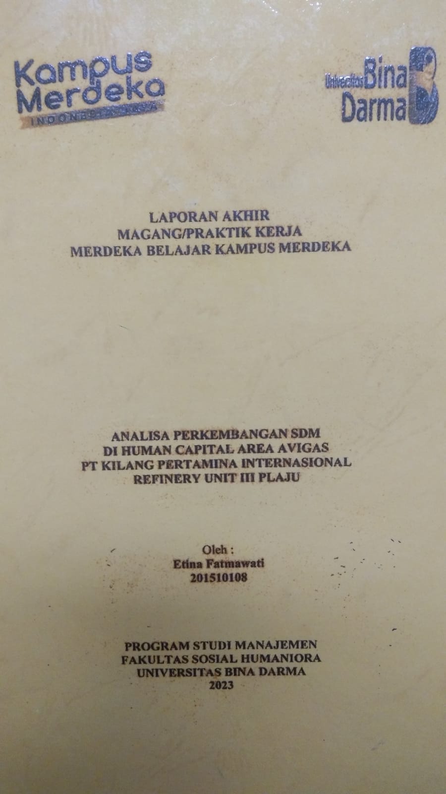 Cover ANALISA PERKEMBANGAN SDM DI HUMAN CAPITAL AREA AVIGAS PT KILANG PERTAMINA INTERNASIONAL REFINERY UNIT III PLAJU / ETINA FATMAWATI