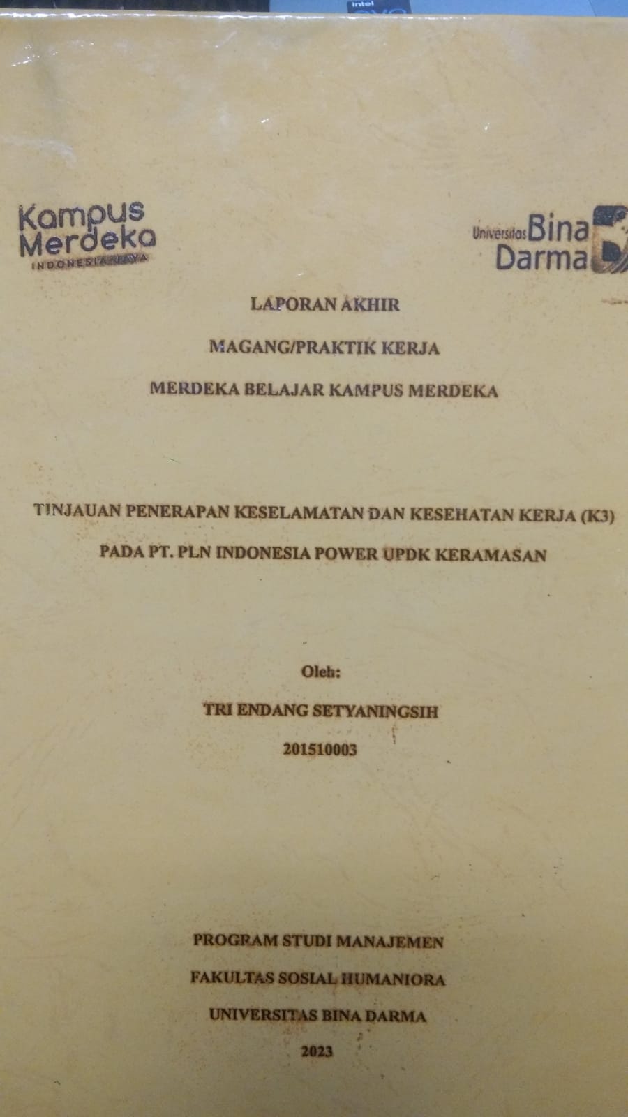 Cover TINJAUAN PENERAPAN KESELAMATAN DAN KESEHATAN KERJA (K3) PADA PT.PLN INDONESIA POWER UPDK KERAMASAN / TRI ENDANG SETYANINGSIH