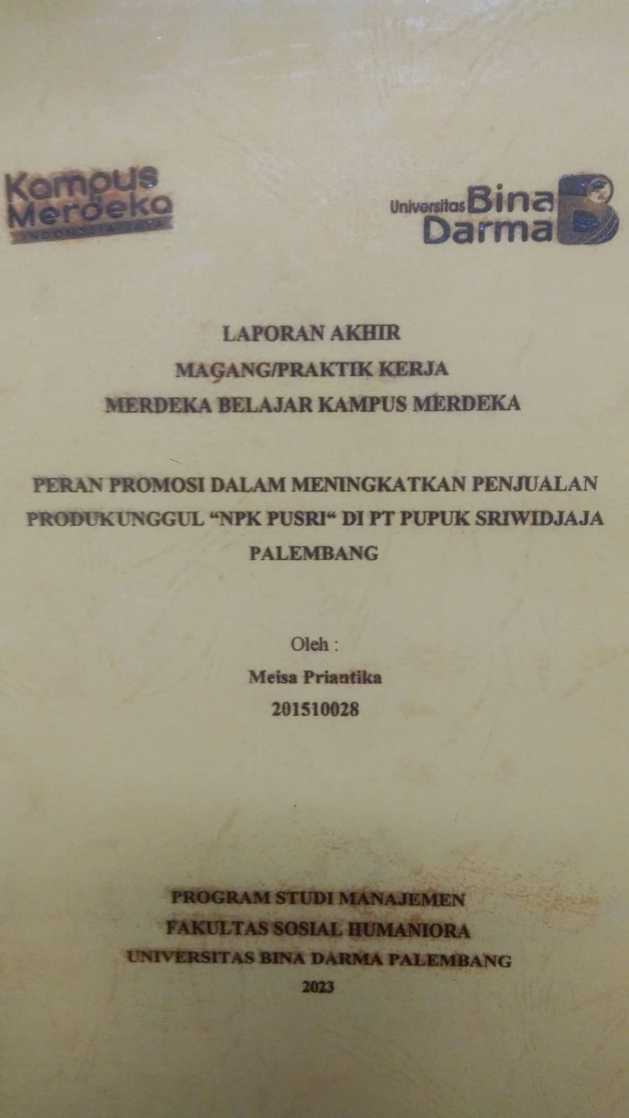 Cover PERAN PROMOSI DALAM MENINGKATKAN PENJUALAN PRODUK UNGGUL "NPK PUSRI" DI PT PUPUK SRIWIDJAJA PALEMBANG / MEISA PRIANTIKA