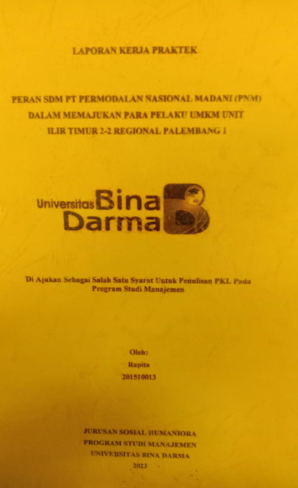 Cover PERAN SDM PT PERMODALAN NASIONAL MADANI (PNM) DALAM MEMAJUKAN PARA PELAKU UMKM UNIT ILIR  TIMUR 2-2 REGIONAL PALEMBANG 1 / RAPITA