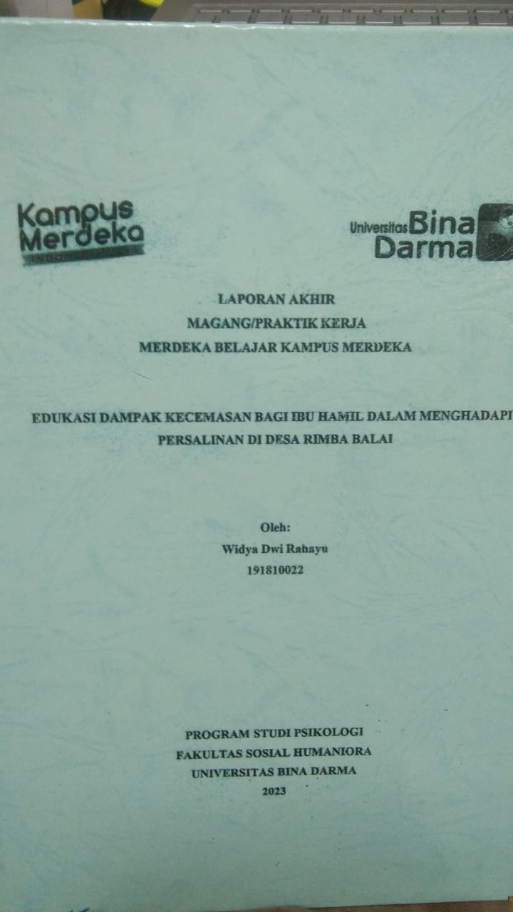 Cover EDUKASI DAMPAK KECEMASAN BAGI IBU HAMIL DALAM MENGHADAPI PERSALINAN DI DESA RIMBAI BALAI / WIDYA DWI RAHAYU