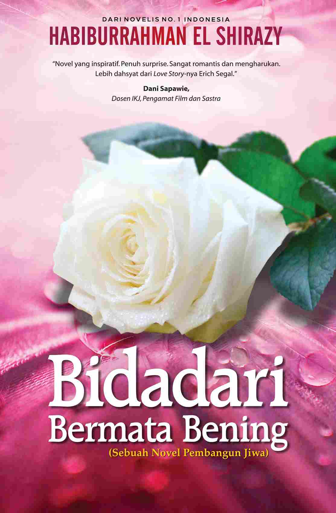 Cover BIDADARI BERMATA BENING / Habiburrahman El Shirazy