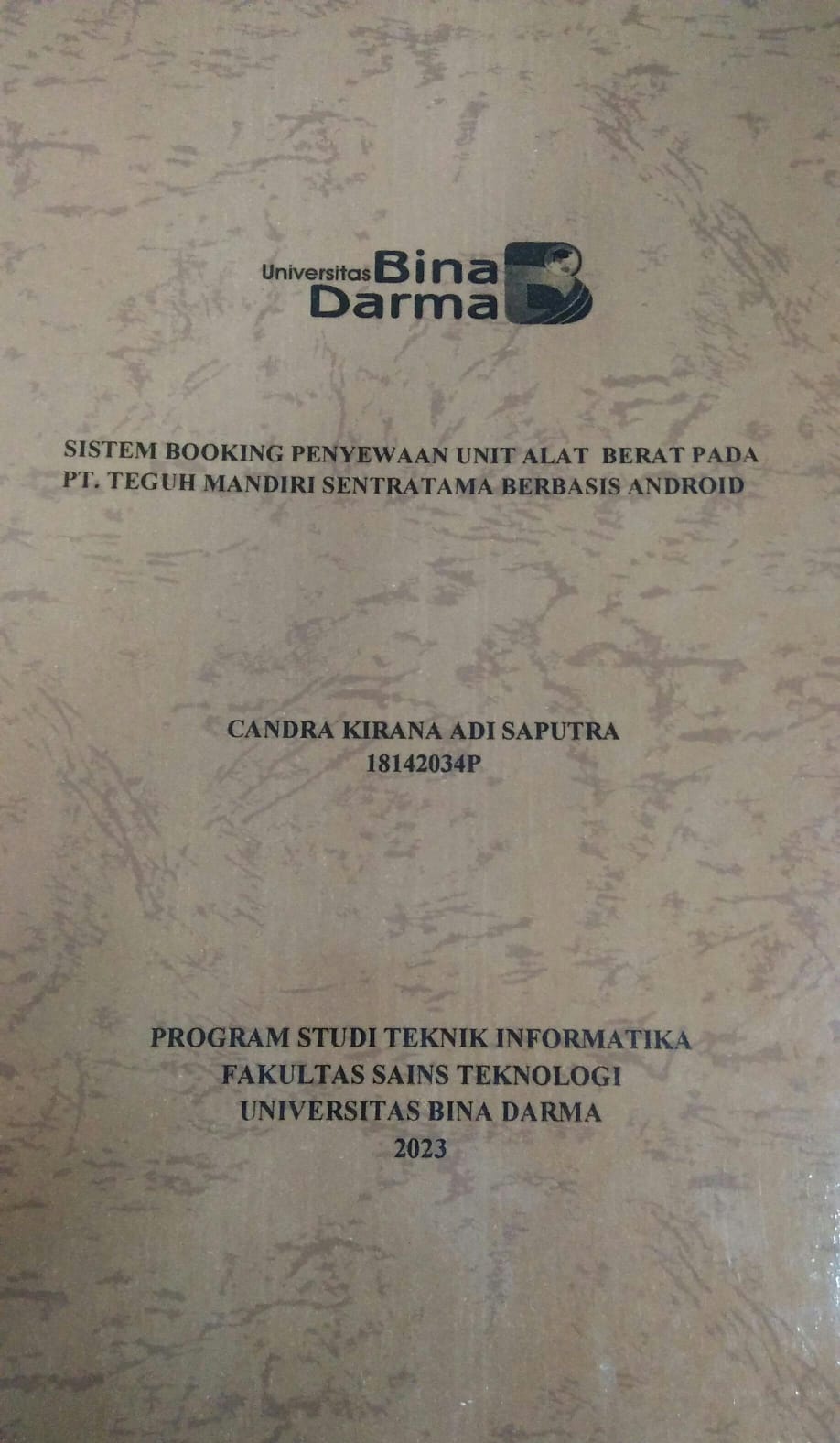 Cover PENGARUH PELATIHAN DAN PENEMPATAN KERJA TERHADAP KINERJA KARYAWAN PADA PT. SEMEN BATURAJA PALEMBANG / Fetty Syafitri