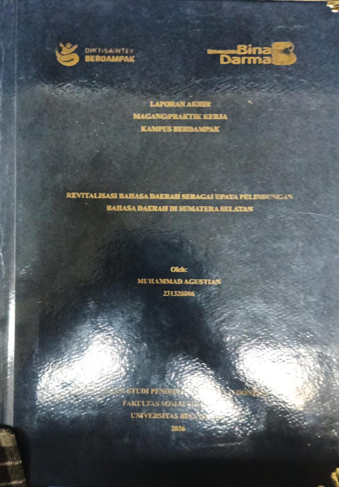 Cover REVITALISASI BAHASA DAERAH SEBAGAI UPAYA PELINDUNGAN BAHASA DAERAH DI SUMATERA SELATAN / MUHAMMAD AGUSTIAN