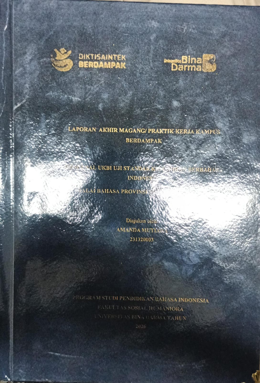 Cover MENGENAL UKBI UJI STANDAR KEMAHIRAN BERBAHASA INDONESIA BALAI BAHASA PROVINSI SUMATERA SELATAN / AMANDA MUTIARA
