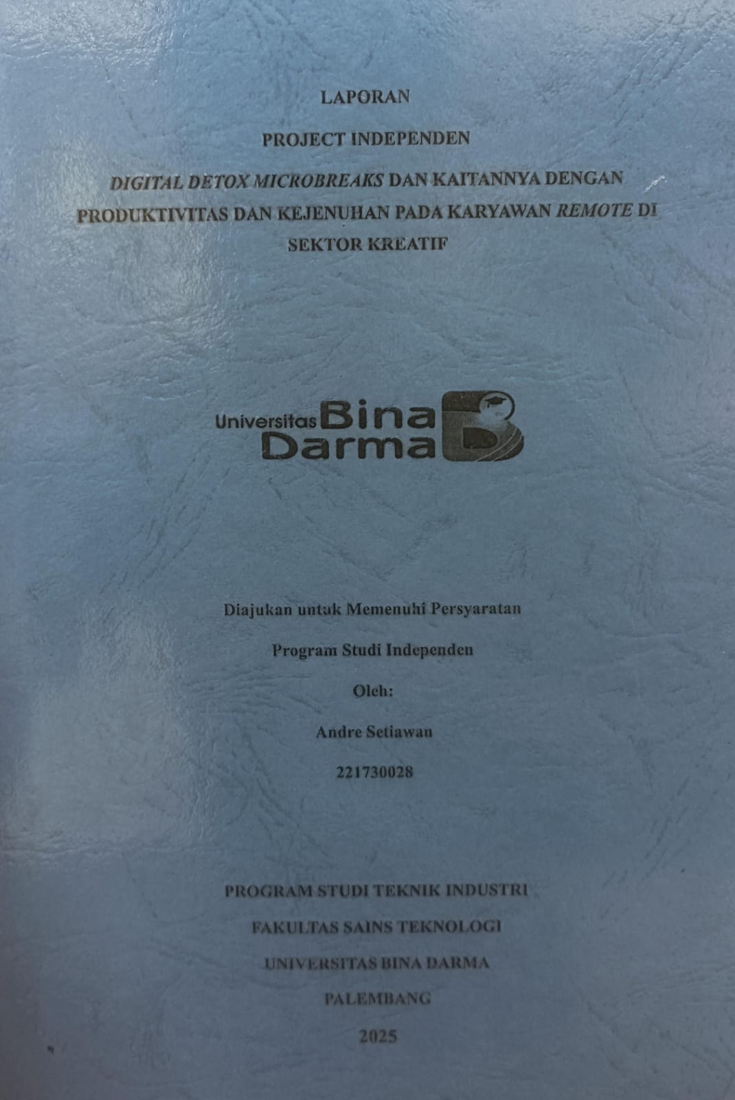 Cover DIGITAL DETOX MICROBREAKS DAN KAITANNYA DENGAN PRODUKTIVITAS DAN KEJENUHAN PADA KARYAWAN REMOTE DI SEKTOR KREATIF / ANDRE SETIAWAN