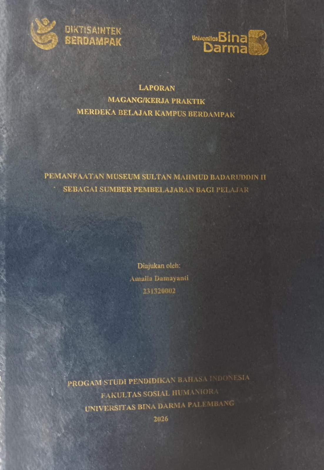Cover PEMANFAATAN MUSEUM SULTAN MAHMUD BADARUDDIN II SEBAGAI SUMBER PEMBELAJARAN BAGI PELAJAR / AMALIA DAMAYANI