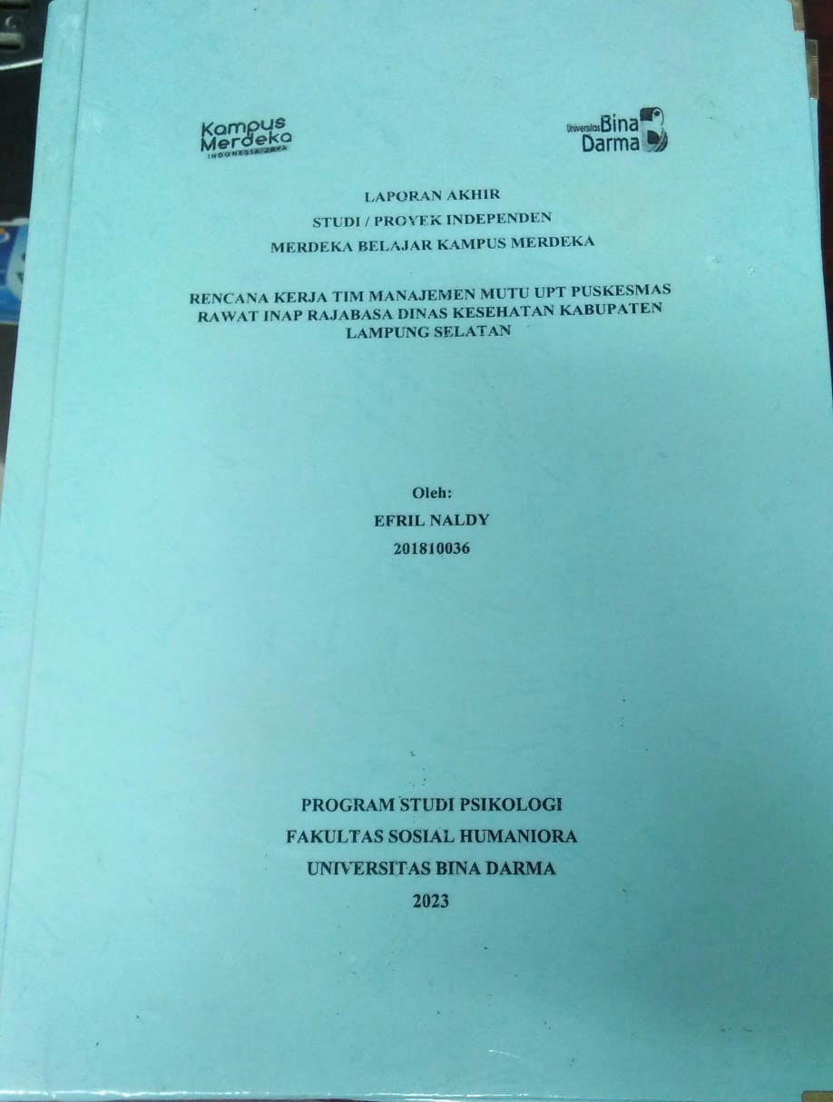 Cover RENCANA KERJA TIM MANAJEMEN MUTU UPT PUSKESMAS RAWAT INAP RAJABASA DINAS KESEHATAN KABUPATEN LAMPUNG SELATAN / Efril Naldy