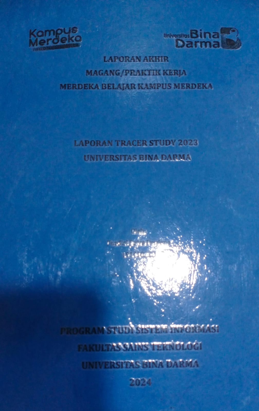 Cover LAPORAN TRACER STUDY 2023 UNIVERSITAS BINA DARMA / Fhadiel Putra Perdana (191410230)