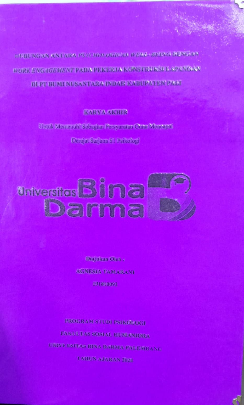 Cover HUBUNGAN ANTARA PSYCHOLOGICL WELL-BEING WORK ENGAGEMENT PADA PEKERJA KONSTRUKSI LAPANGAN DI PT BUMI NUSANTARA INDAH KABUPATEN PALI / Agnesia Tamarani 191810092
