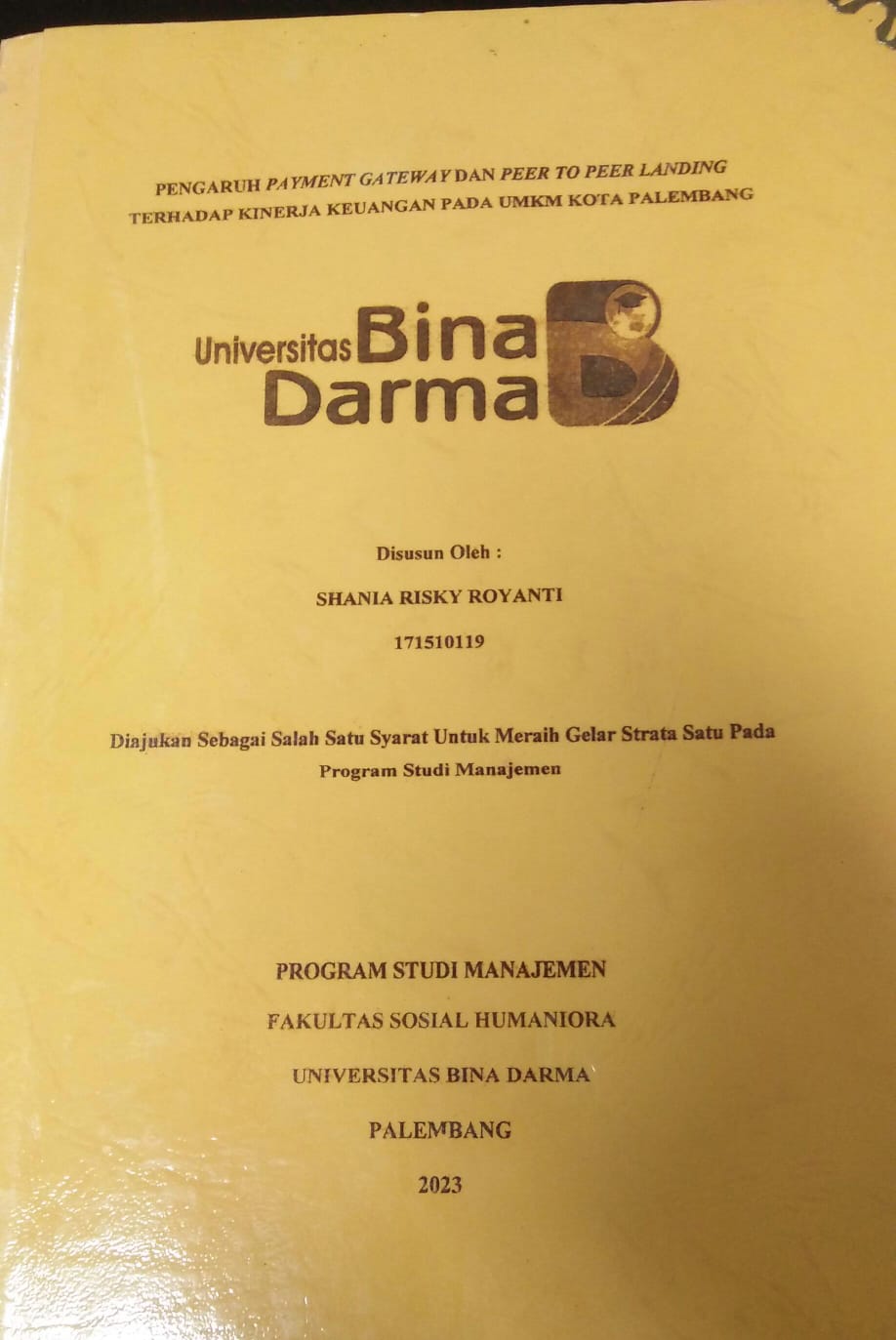 Cover PENGARUH PAYMENT GATEWAY DAN PEER TO PEER LANDING TERHADAP LINERJA KEUANGAN PADA UMKM KOTA PALEMBANG / Shania Risky Royanti
