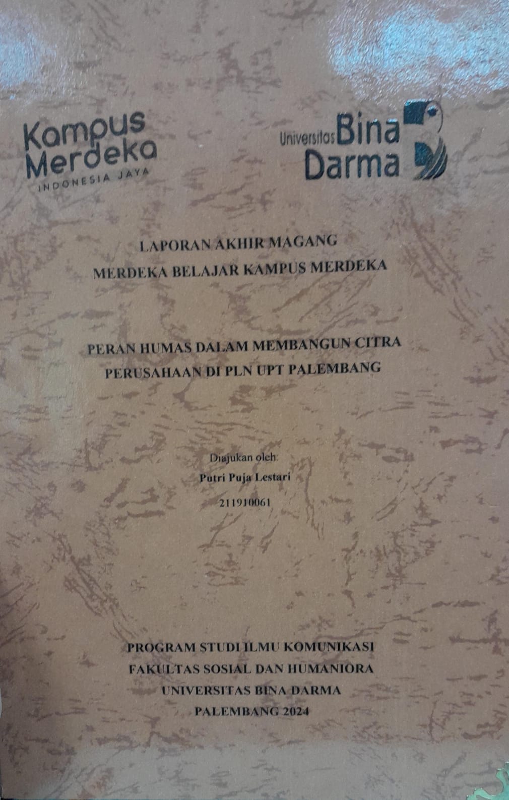 Cover PERAN HUMAS DALAM MEMBAGUN CITRA PERUSAHAAN DI PLN UPT PALEMBANG / Putri Puja Lestrari 211910061