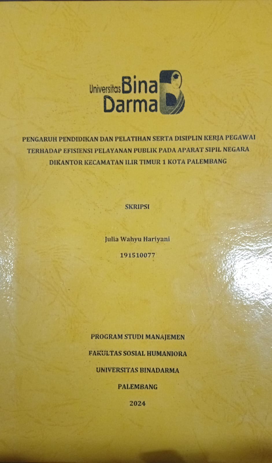 Cover PENGATUH PENDIDIKAN DAN PELATIHAN SERTA DISIPLIN KERJA PEGAWAI TERHADAP EFESIENSI PELAYANAN  PUBLIK PADA APARAT SIPIL NEGARA DIAKNTOR KECAMATAN ILIR TIMUR 1 KOTA PALEMBANG / Julia wahyu hariani 191510077
