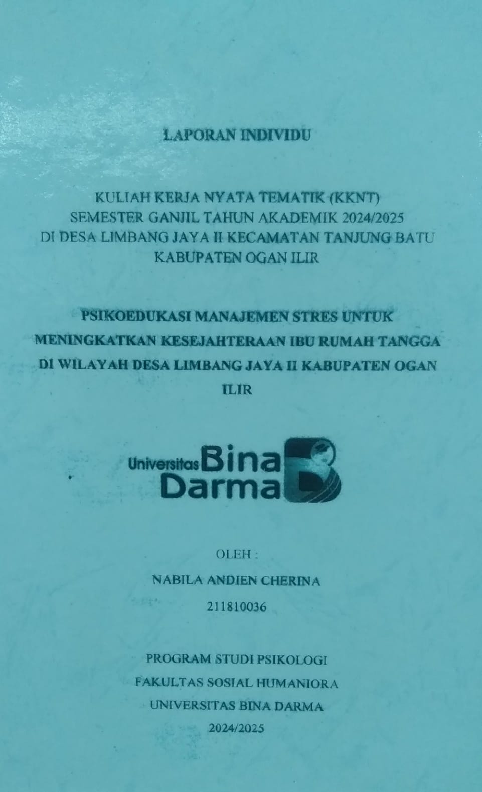 Cover PSIKOEDUKASI MANAJEMEN STRES UNTUK MENINGKATKAN KESEJAHTERAAN IBU RUMAH TANGGA DI WILAYAH DESA LIMBANG JAYA II KABUPATEN OGAN ILIR / Nabila Andien Cherina