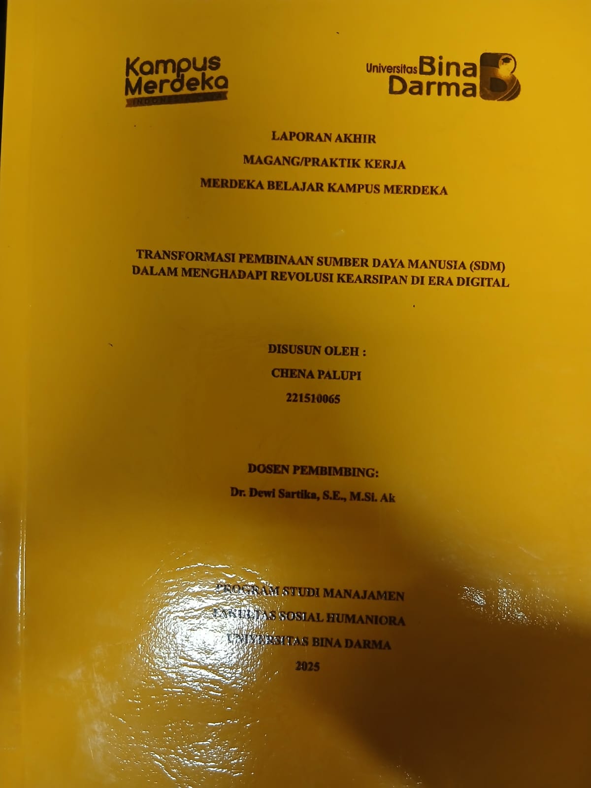Cover TRANSFORMASI PEMBINAAN SUMBER DAYA MANUSIA (SDM) DALAM MENGHADAPI REVOLUSI KEARSIPAN DI ERA DIGITAL / Chena Palupi