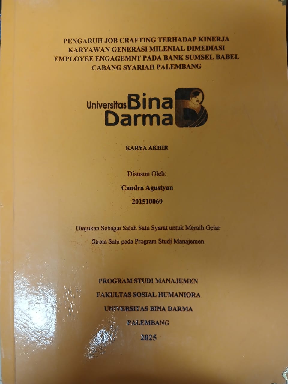 Cover PENGARUH JOB CRAFTING TERHADAP KINERJA KARYAWAN GENERASI MILENIAL DIMEDIASI EMPLOYEE ENGAGEMENT PADA BANK SUMSEL BABEL CABANG SYARIAH PALEMBANG / Candra Agustyan