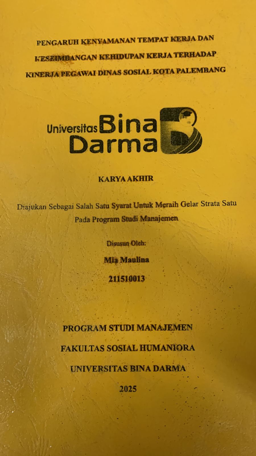 Cover PENGARUH TEMPAT KERJA DAN KESEIMBANGAN KEHIDUPAN KERJA TERHADAP KINERJA PEGAWAI DINAS SOSIAL KOTA PALEMBANG