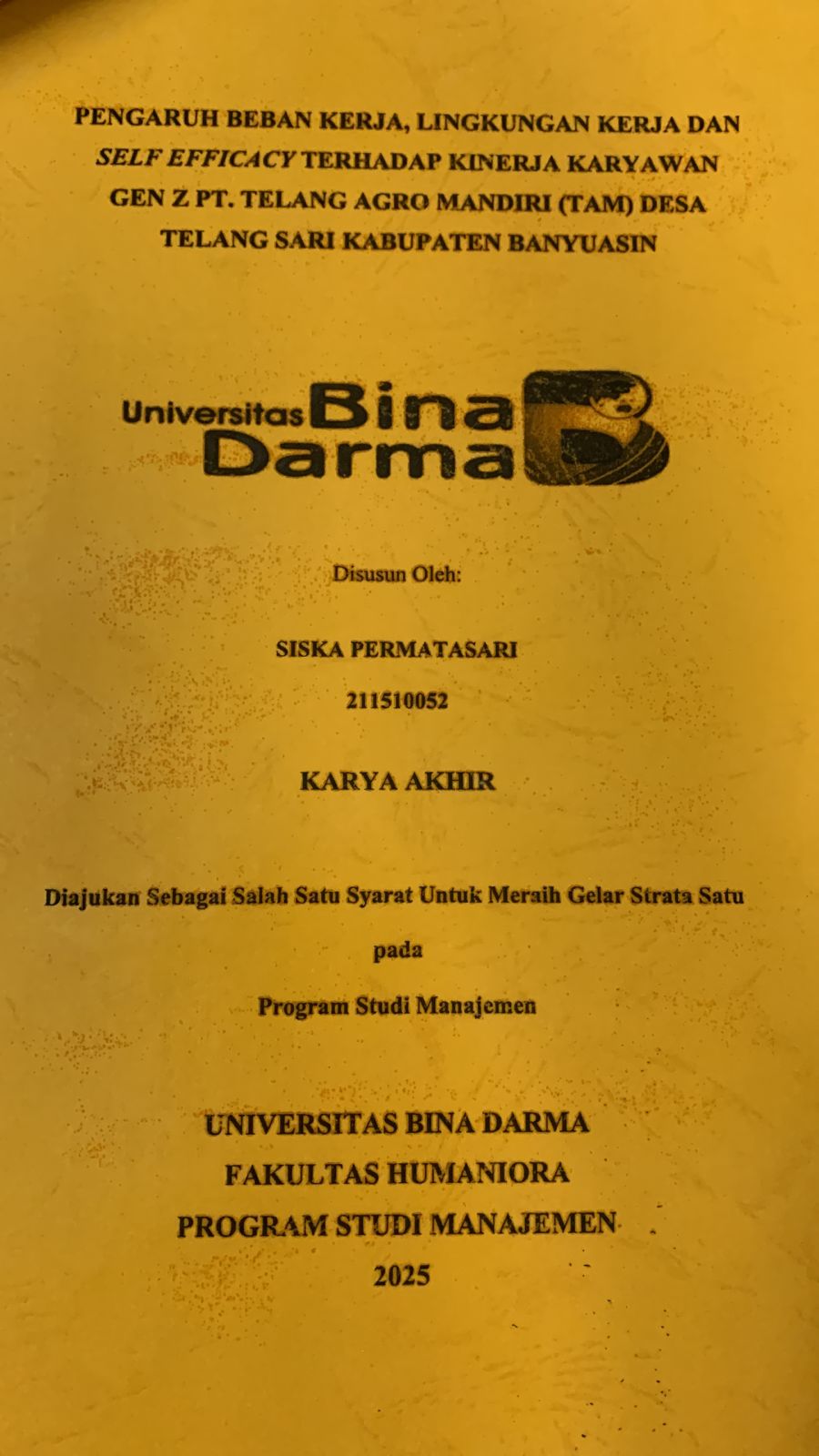 Cover PENGARUH BEBAN KERJA, LINGKUNGAN KERJA DAN SELF EFFICACY TERHADAP KINERJA KARYAWAN GEN Z PT.TELANG AGRI MANDIRI (TAM) DESA TELANG SARI KABUPATEN BANYUASIN