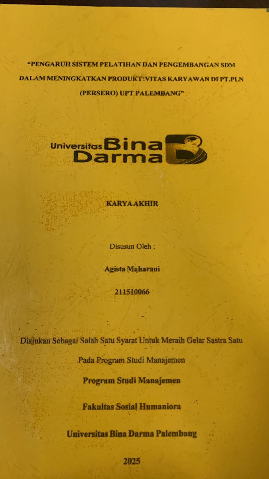 Cover PENGARUH SISTEM PELATIHAN DAN PENGEMBANGAN SDM DALAM MENINGKATKAN PRODUKTIVITAS KARYAWAN DI PT.PLN (PERSERO) UPT PALEMBANG