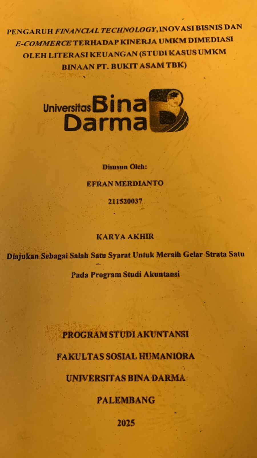 Cover PENGARUH FINANCIAL TECHNOLOGY, INOVASI BISNIS DAN E-COMMERCE TERHADAP KINERJA UMKM DIMEDIASI OLEH LITERASI KEUANGAN (STUDI KASUS UMKM NINAAN PT.BUKIT ASAM TBK)