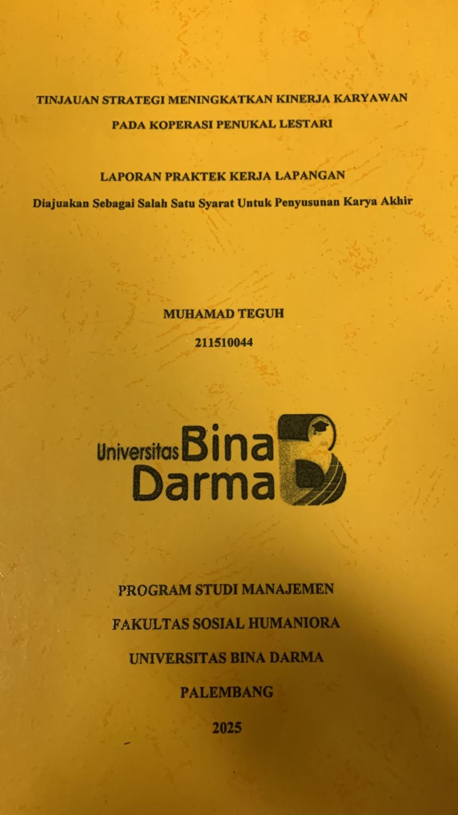 Cover Tinjauan strategi meningkatkan kinerja karyawan pada koperasi penukal lestari