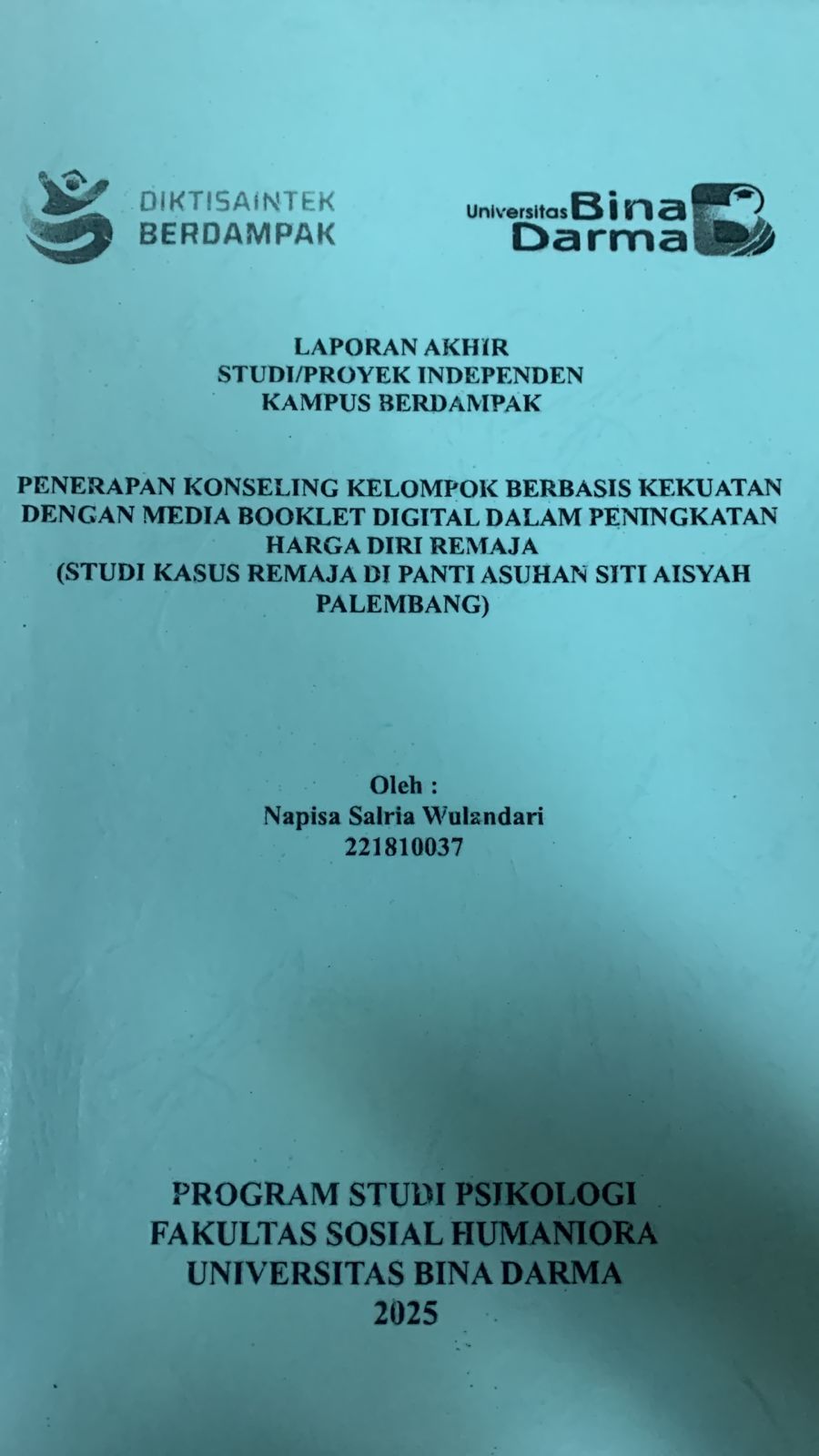 Cover Penerapan Konseling Kelompok Berbasis Kekuatan Dengan Media Booklet Digital Dalam Peningkatan Harga Diri Remaja (Studi kasus remaja di panti asuhan siti aisyah palembang)