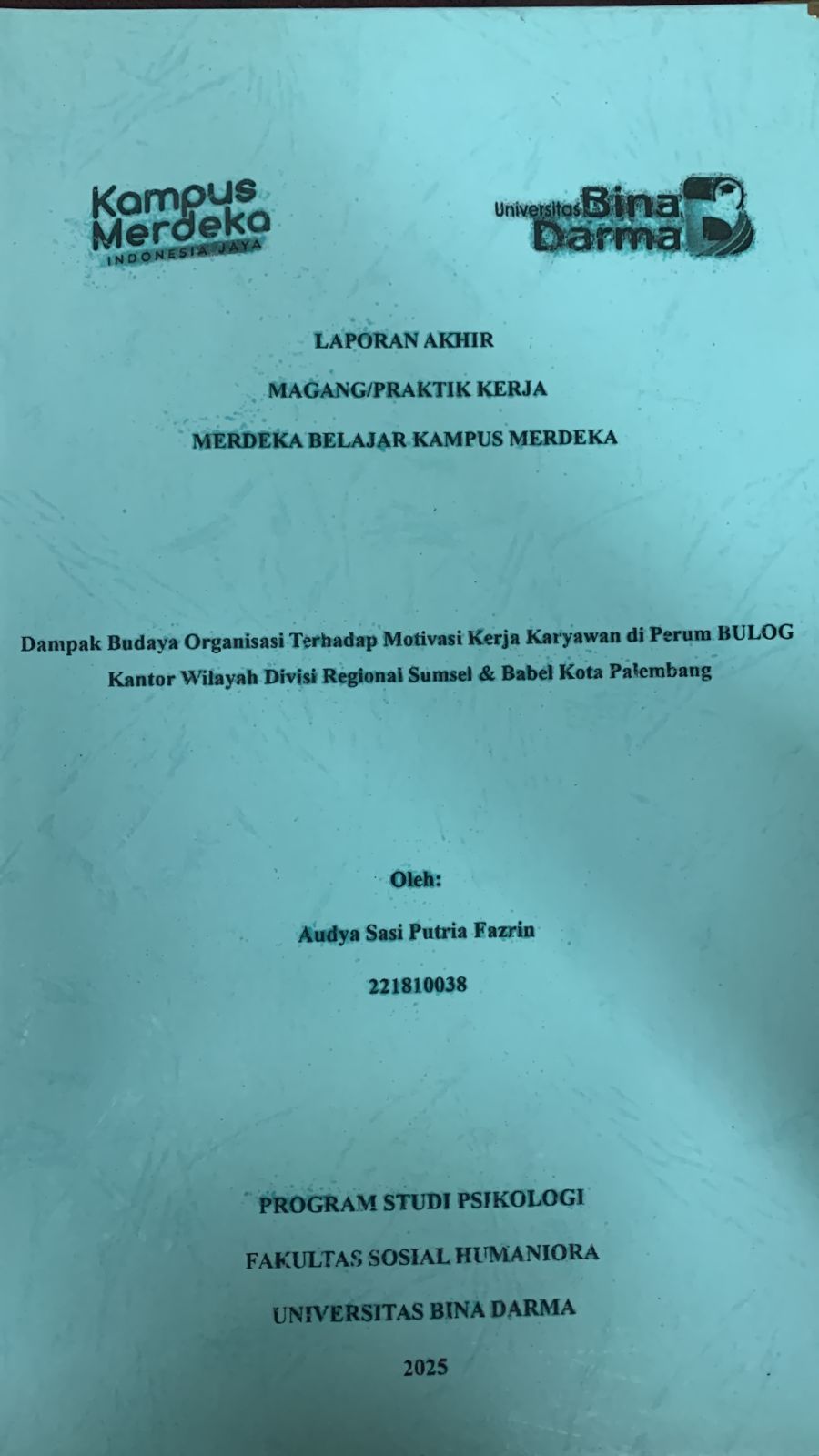 Cover Dampak Budaya Organisasi Terhadap Motivasi Kerja Karyawan Di Perum BULOG Kantor Wilayah Divisi Regional Sumsel & Babel Kota Palembang