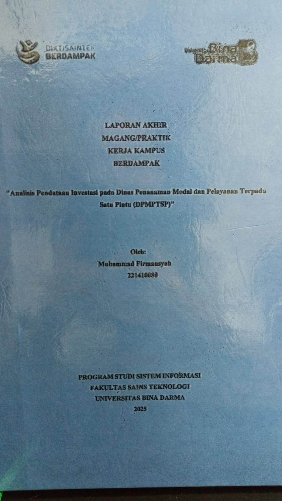 Cover Analisis pendataan investasi pada Dinas Penanaman Modal dan Pelayanan Terpadu Satu Pintu (DPMPTSP)