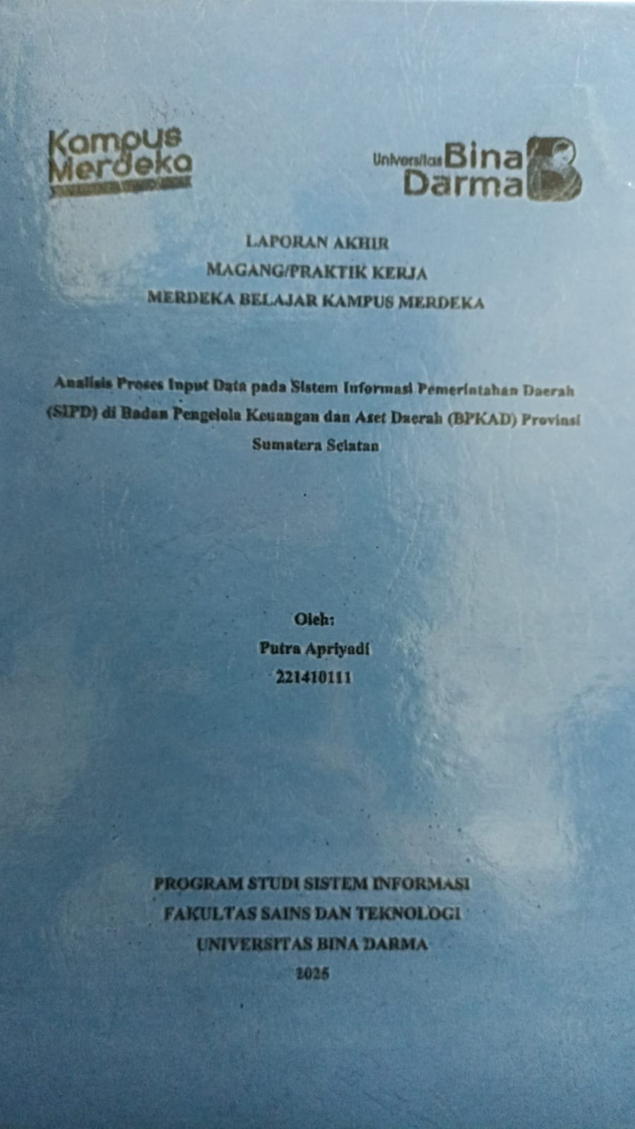 Cover Analisis proses input data pada Sistem Informasi Pemerintahan Daerah (SIPD) di dalam Pengelola Keuangan dan Aset Daerah (BPKAD) Provinsi Sumatera Selatan