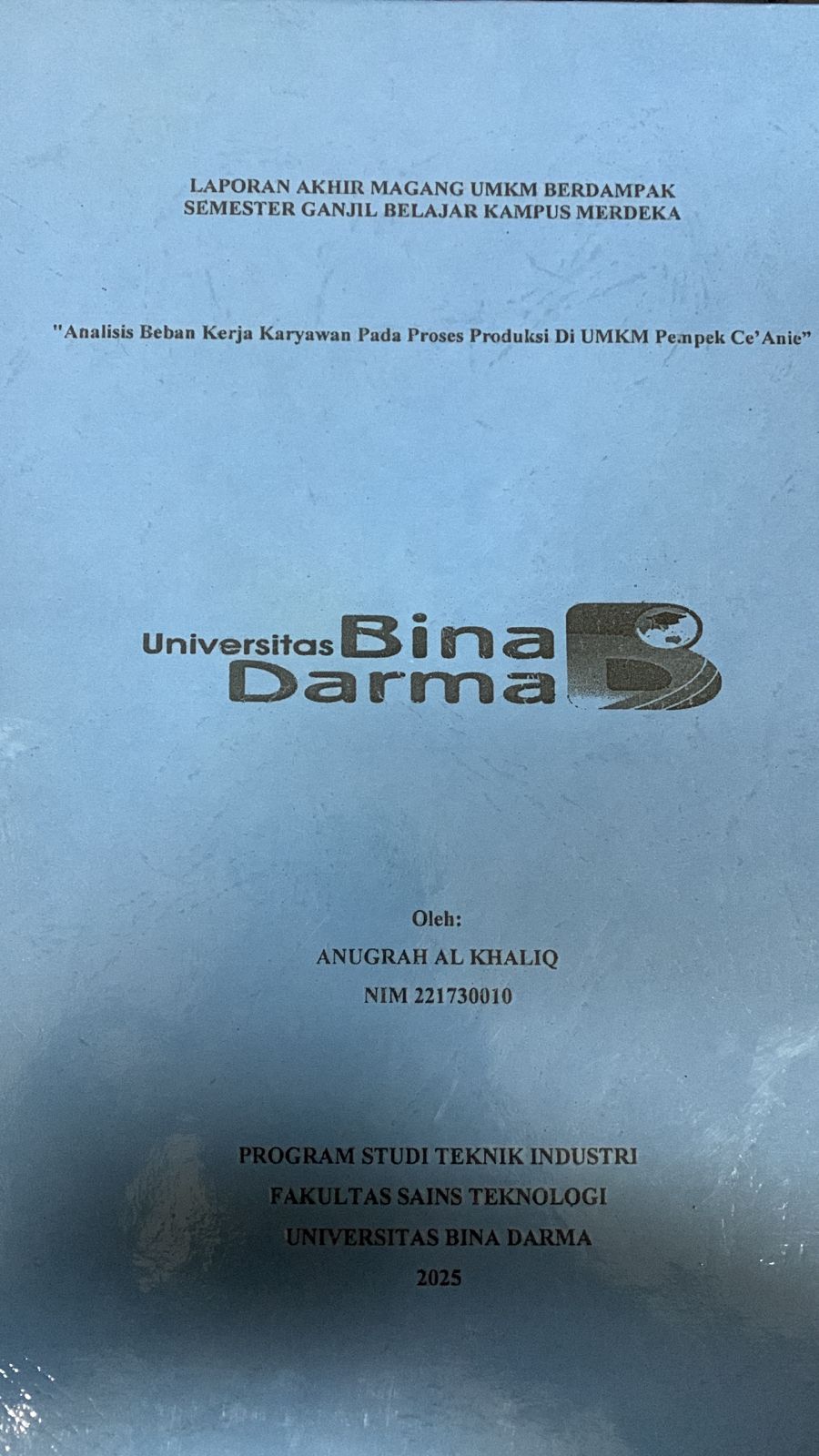 Cover Analisis beban kerja karyawan pada proses produksi di UMKM Pempek Ce'Anie