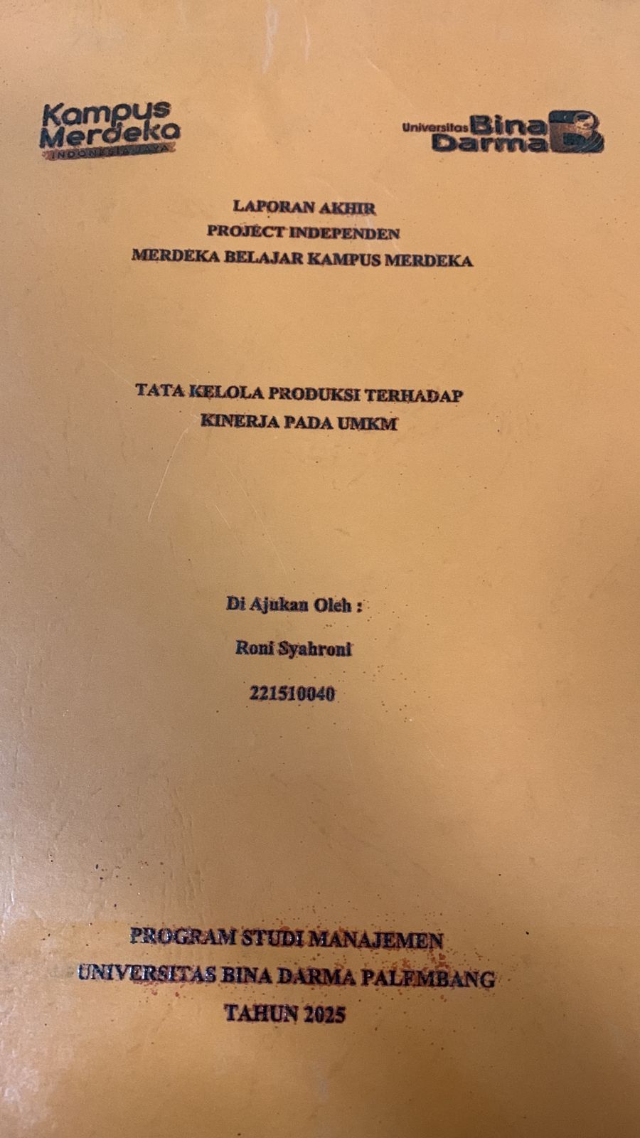Cover Tata Kelola Produksi Terhadap Kinerja pada UMKM