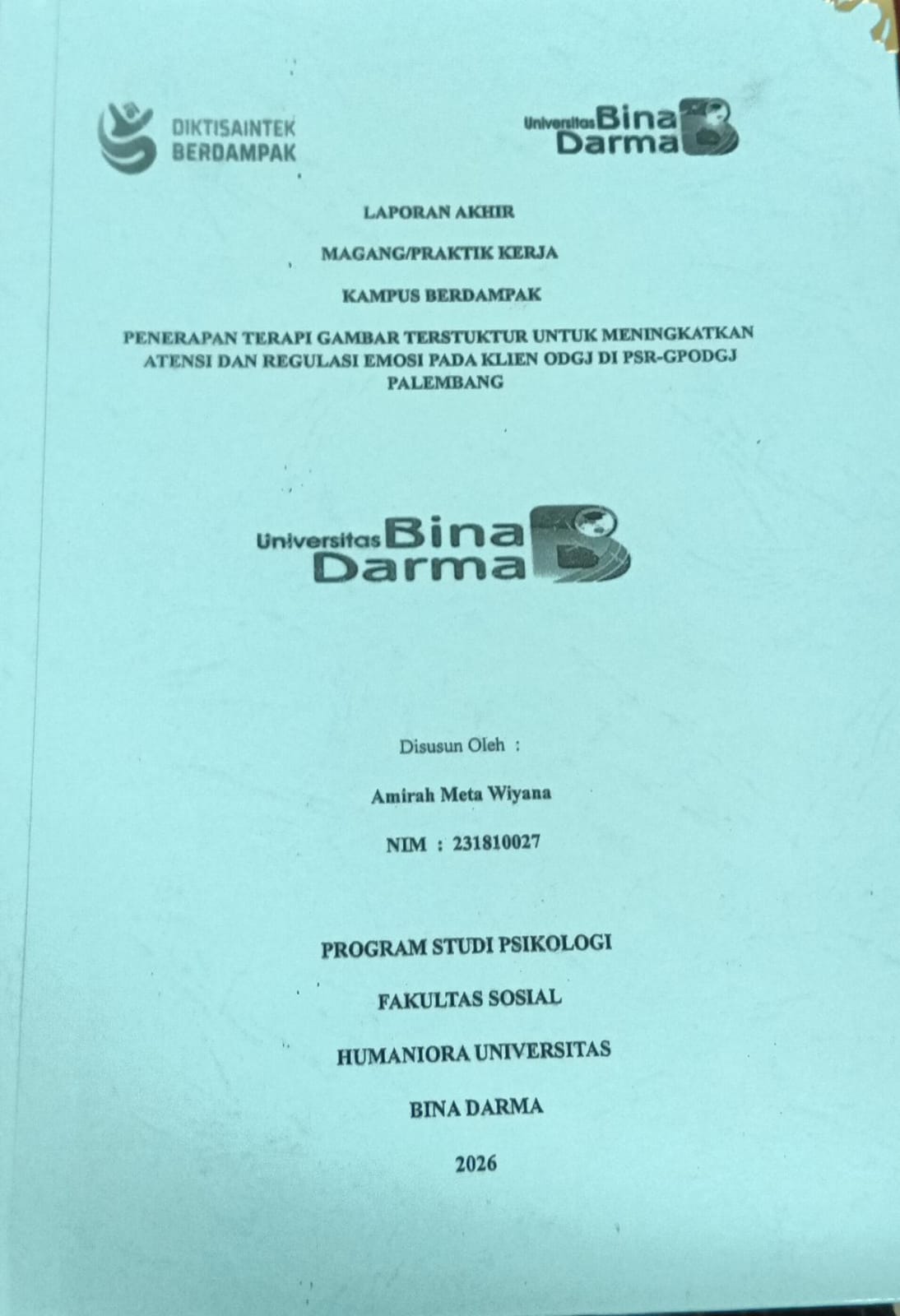 Cover PENERAPAN TERAPI GAMBAR TERSTRUKTUR UNTUK MENINGKATKAN ATENSI DAN REGULASI EMOSI PADA KLIEN ODGJ DI PSR-GPODGJ PALEMBANG / AMIRAH META WIJAYA