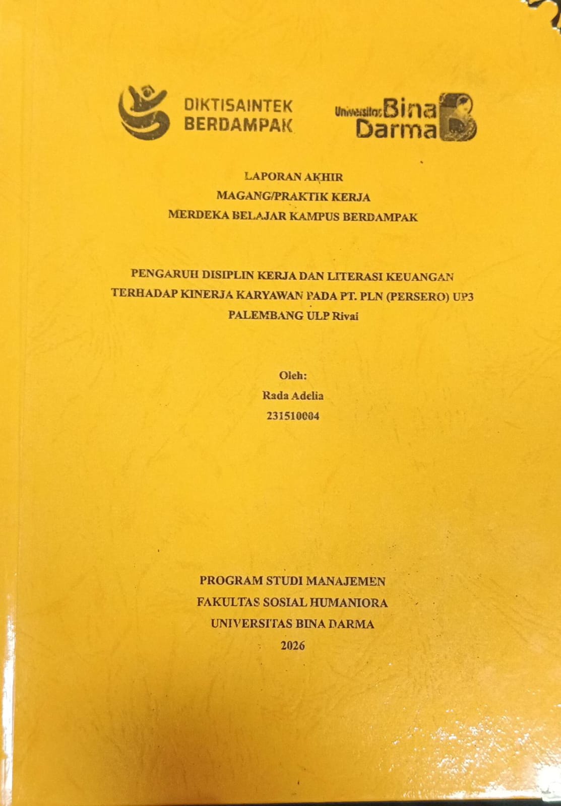 Cover PENGARUH DISPLIN KERJA DAN LITERASI KEUANGAN TERHADAP KINERJA KARYAWAN PADA PT PLN (PERSERO) UP3 PALEMBANG ULP RIVAI / RADA ADELIA