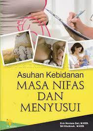 Cover Asuhan kebidanan masa nifas dan menyusui / Evin Noviana Sari & Siti Khotimah