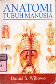 Cover ANATOMI TUBUH MANUSIA / Daniel S. Wibowo
