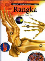 Cover MELIHAT DENGAN MIKROSKOP RANGKA :  Kerangka Tubuh Kita / Jinny Johnson